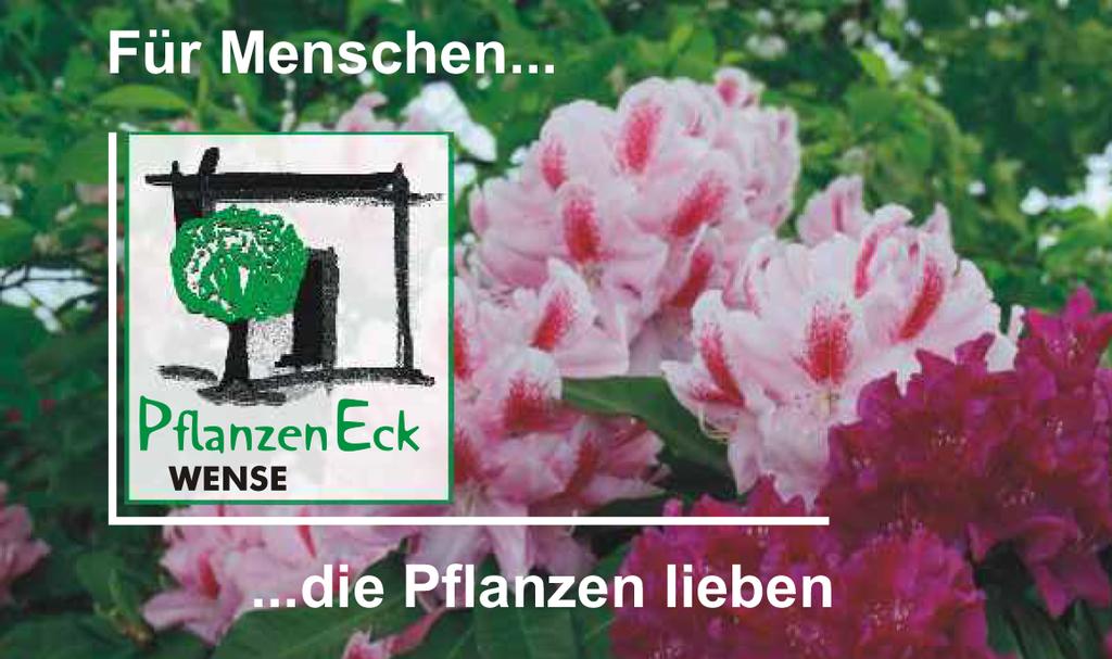 Pflanzeneck